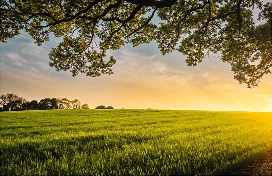 diloseis-gia-programma-dasosis